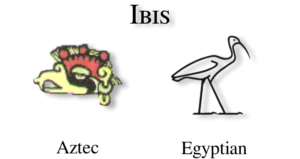 Ibis glyph