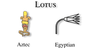 Lotus glyph