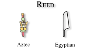 Reed glyph